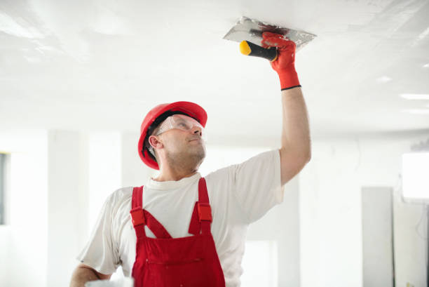 Trusted Palisade, CO Drywall & Painting Services Experts